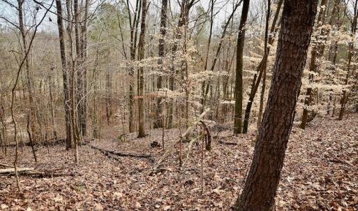 Photo #73 of SOLD property in Off Old Airport Road, Concord, NC 38.1 acres