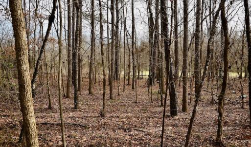 Photo #74 of SOLD property in Off Old Airport Road, Concord, NC 38.1 acres