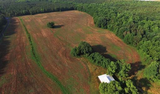 Photo #3 of SOLD property in 2920 & 2922 Robinson Bridge Rd, Morven, NC 126.3 acres