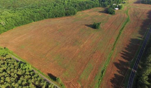 Photo #5 of SOLD property in 2920 & 2922 Robinson Bridge Rd, Morven, NC 126.3 acres