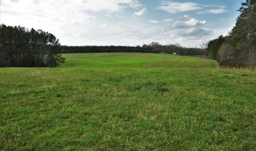 Photo #7 of SOLD property in 8300 Reed Mine Road, Midland, NC 66.1 acres