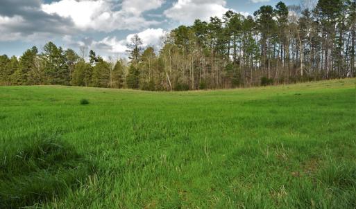 Photo #8 of SOLD property in 8300 Reed Mine Road, Midland, NC 66.1 acres