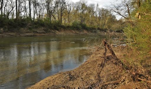 Photo #10 of SOLD property in 8300 Reed Mine Road, Midland, NC 66.1 acres