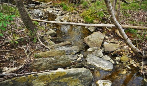 Photo #11 of SOLD property in 8300 Reed Mine Road, Midland, NC 66.1 acres