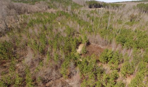 Photo #2 of SOLD property in Off Wyatt Grove Church Rd, Richfield, NC 27.3 acres
