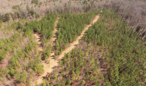 Photo #3 of SOLD property in Off Wyatt Grove Church Rd, Richfield, NC 27.3 acres