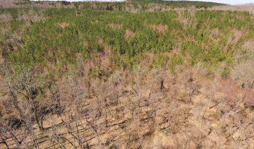 Photo #4 of SOLD property in Off Wyatt Grove Church Rd, Richfield, NC 27.3 acres
