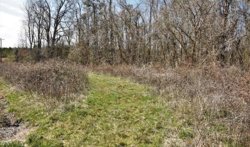 Photo #6 of SOLD property in Off Wyatt Grove Church Rd, Richfield, NC 27.3 acres