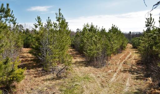 Photo #8 of SOLD property in Off Wyatt Grove Church Rd, Richfield, NC 27.3 acres