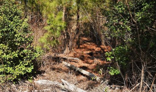 Photo #10 of SOLD property in Off Wyatt Grove Church Rd, Richfield, NC 27.3 acres