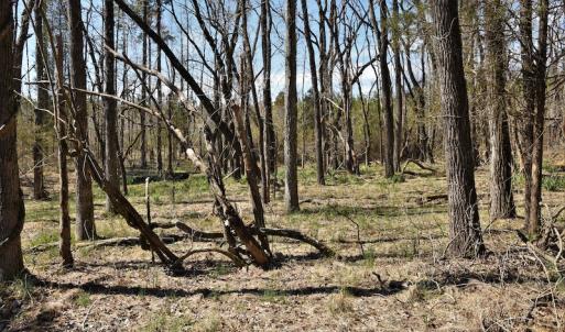Photo #11 of SOLD property in Off Wyatt Grove Church Rd, Richfield, NC 27.3 acres
