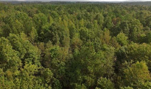 Photo #2 of SOLD property in Off Flat Creek Church Road, Richfield, NC 68.2 acres