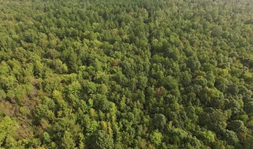 Photo #3 of SOLD property in Off Flat Creek Church Road, Richfield, NC 68.2 acres