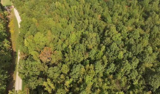 Photo #4 of SOLD property in Off Flat Creek Church Road, Richfield, NC 68.2 acres