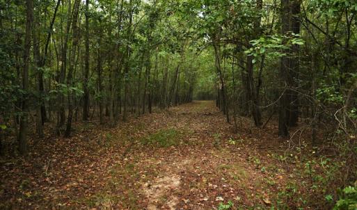 Photo #5 of SOLD property in Off Flat Creek Church Road, Richfield, NC 68.2 acres