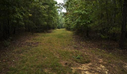 Photo #6 of SOLD property in Off Flat Creek Church Road, Richfield, NC 68.2 acres
