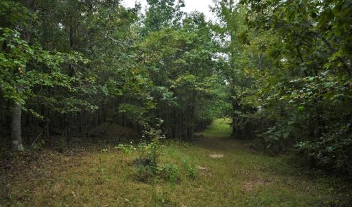 Photo #7 of SOLD property in Off Flat Creek Church Road, Richfield, NC 68.2 acres