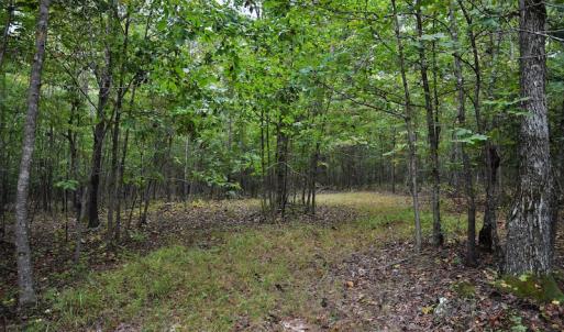 Photo #8 of SOLD property in Off Flat Creek Church Road, Richfield, NC 68.2 acres