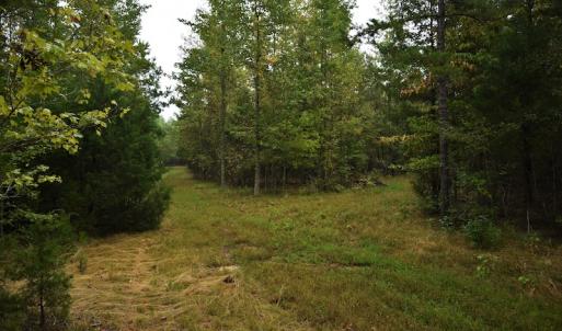 Photo #9 of SOLD property in Off Flat Creek Church Road, Richfield, NC 68.2 acres