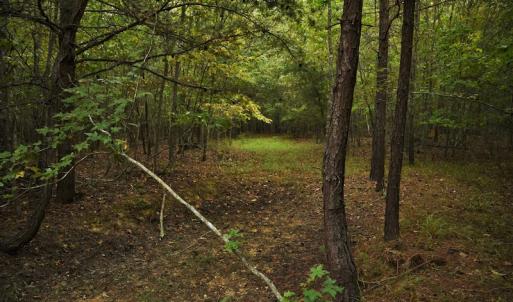 Photo #10 of SOLD property in Off Flat Creek Church Road, Richfield, NC 68.2 acres