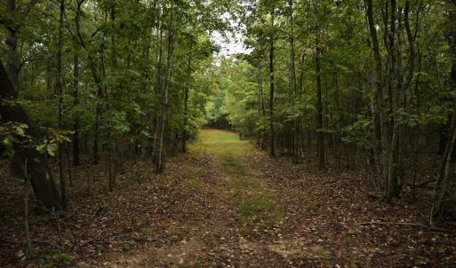 Photo #11 of SOLD property in Off Flat Creek Church Road, Richfield, NC 68.2 acres