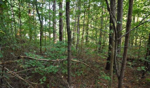 Photo #2 of SOLD property in Off Goodman Lake Road, Salisbury, NC 0.4 acres