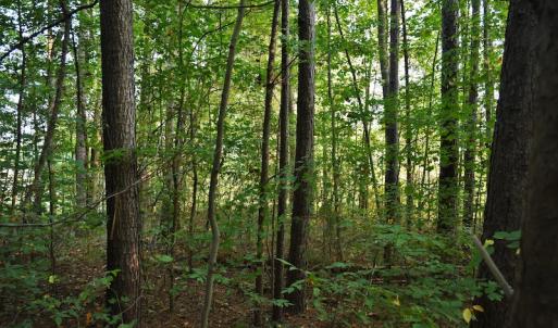 Photo #3 of SOLD property in Off Goodman Lake Road, Salisbury, NC 0.4 acres