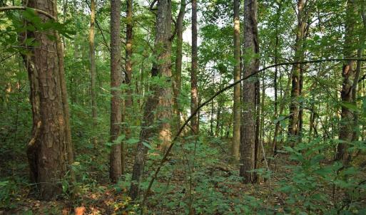 Photo #4 of SOLD property in Off Goodman Lake Road, Salisbury, NC 0.4 acres