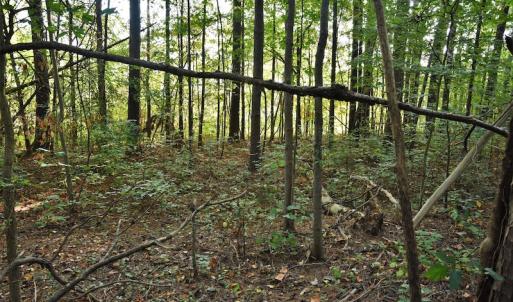 Photo #5 of SOLD property in Off Goodman Lake Road, Salisbury, NC 0.4 acres