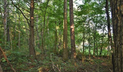 Photo #6 of SOLD property in Off Goodman Lake Road, Salisbury, NC 0.4 acres