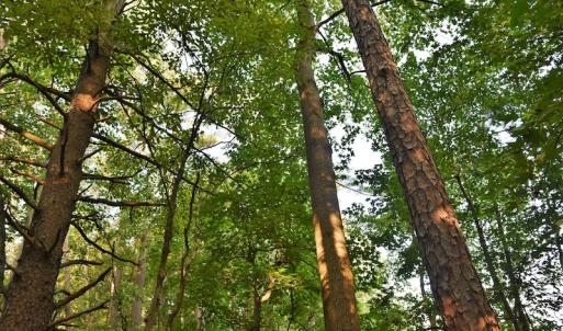 Photo #7 of SOLD property in Off Goodman Lake Road, Salisbury, NC 0.4 acres