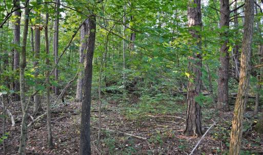 Photo #8 of SOLD property in Off Goodman Lake Road, Salisbury, NC 0.4 acres