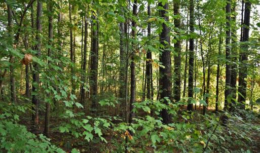 Photo #9 of SOLD property in Off Goodman Lake Road, Salisbury, NC 0.4 acres