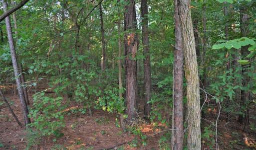Photo #10 of SOLD property in Off Goodman Lake Road, Salisbury, NC 0.4 acres