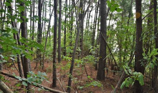Photo #11 of SOLD property in Off Goodman Lake Road, Salisbury, NC 0.4 acres