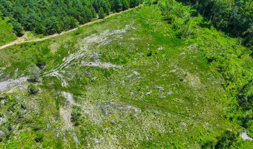 Photo #8 of Off NC Hwy 62 N, Burlington, NC 35.8 acres