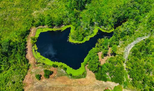 Photo #24 of Off NC Hwy 62 N, Burlington, NC 35.8 acres