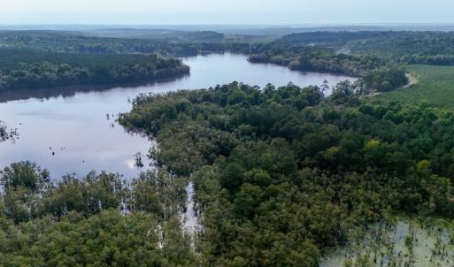 Photo #27 of 709 Everett’s Mill Rd, Rockingham, NC 273.4 acres