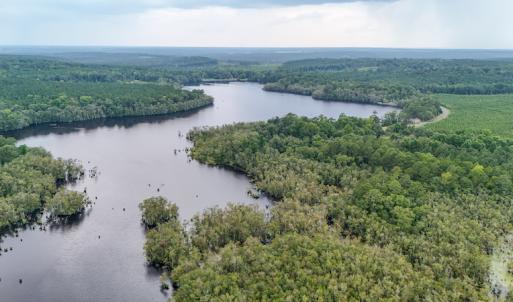 Photo #34 of 709 Everett’s Mill Rd, Rockingham, NC 273.4 acres