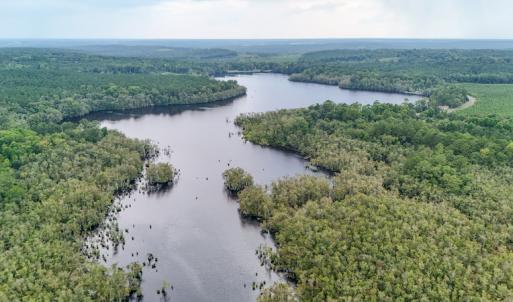 Photo #35 of 709 Everett’s Mill Rd, Rockingham, NC 273.4 acres
