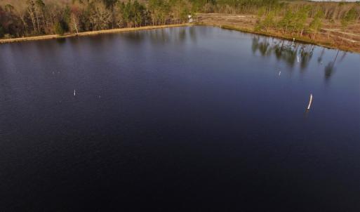 Photo #4 of SOLD property in 370 Cain Patch Road, Mt. Croghan, SC 33.0 acres