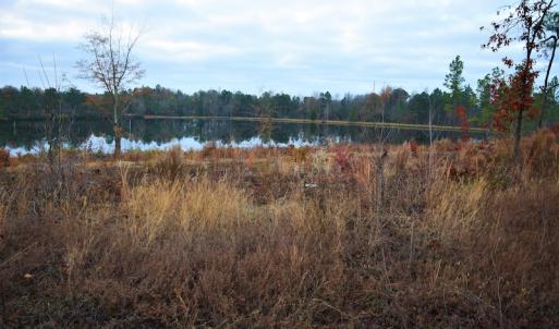 Photo #7 of SOLD property in 370 Cain Patch Road, Mt. Croghan, SC 33.0 acres
