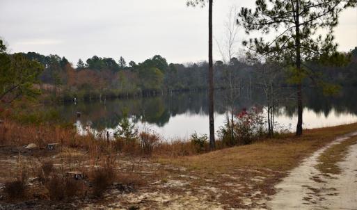 Photo #8 of SOLD property in 370 Cain Patch Road, Mt. Croghan, SC 33.0 acres