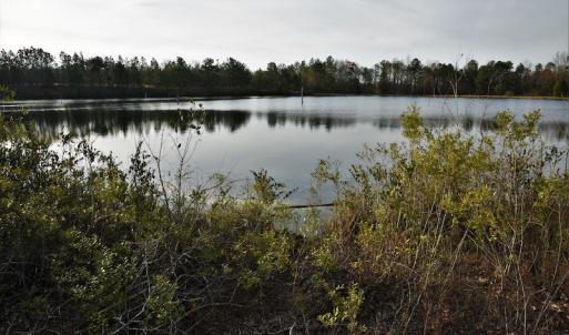 Photo #9 of SOLD property in 370 Cain Patch Road, Mt. Croghan, SC 33.0 acres