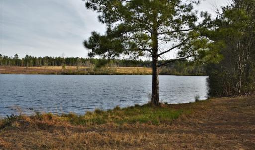 Photo #10 of SOLD property in 370 Cain Patch Road, Mt. Croghan, SC 33.0 acres