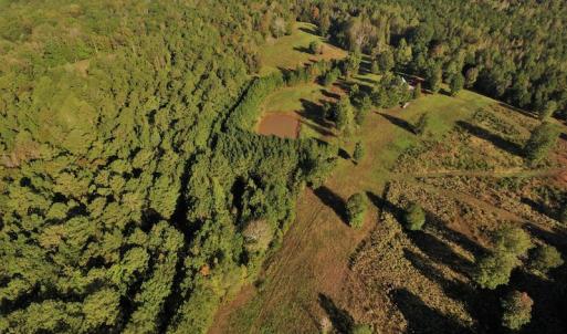 Photo #3 of SOLD property in 479 Autumn Drive, Ridgeway, SC 131.2 acres