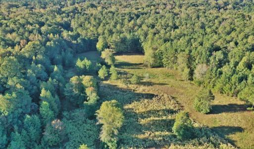 Photo #6 of SOLD property in 479 Autumn Drive, Ridgeway, SC 131.2 acres