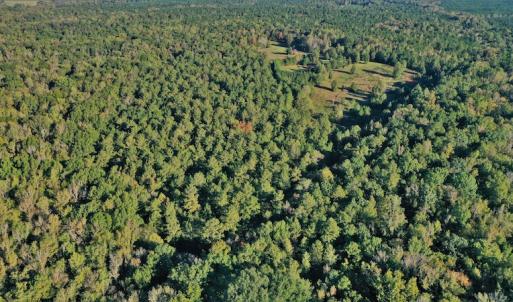 Photo #4 of SOLD property in 479 Autumn Drive, Ridgeway, SC 131.2 acres