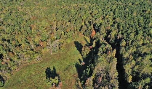 Photo #5 of SOLD property in 479 Autumn Drive, Ridgeway, SC 131.2 acres