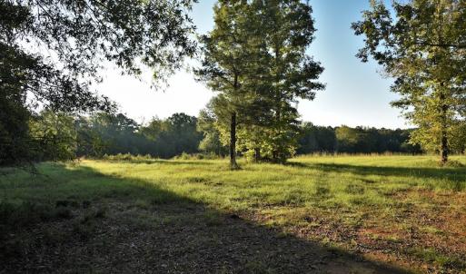 Photo #7 of SOLD property in 479 Autumn Drive, Ridgeway, SC 131.2 acres